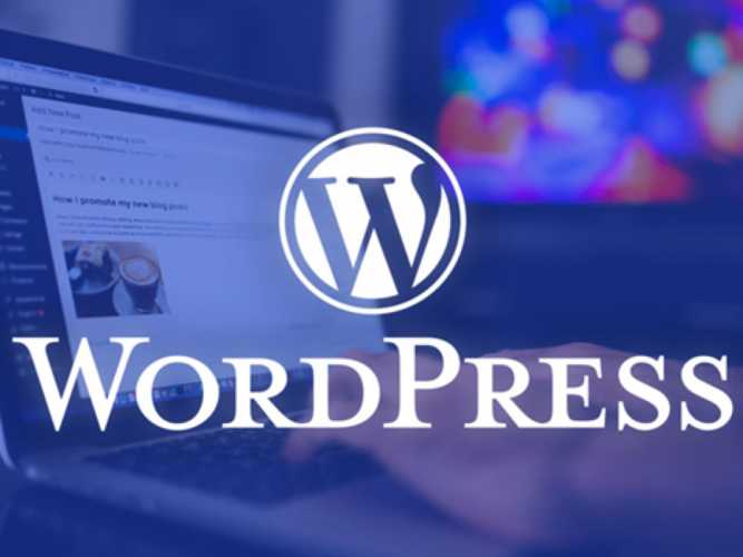 wordpress